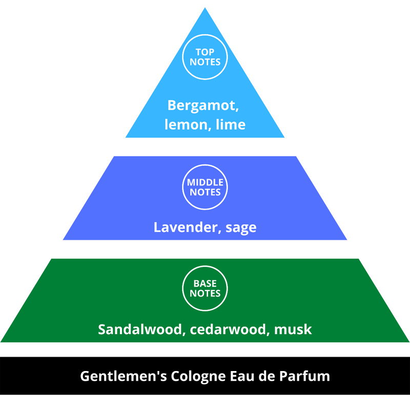 Castle Forbes Gentlemen's Cologne Eau de Parfum Fragrance Pyramid