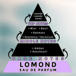 Lomond Eau de Parfum Fragrance Pyramid