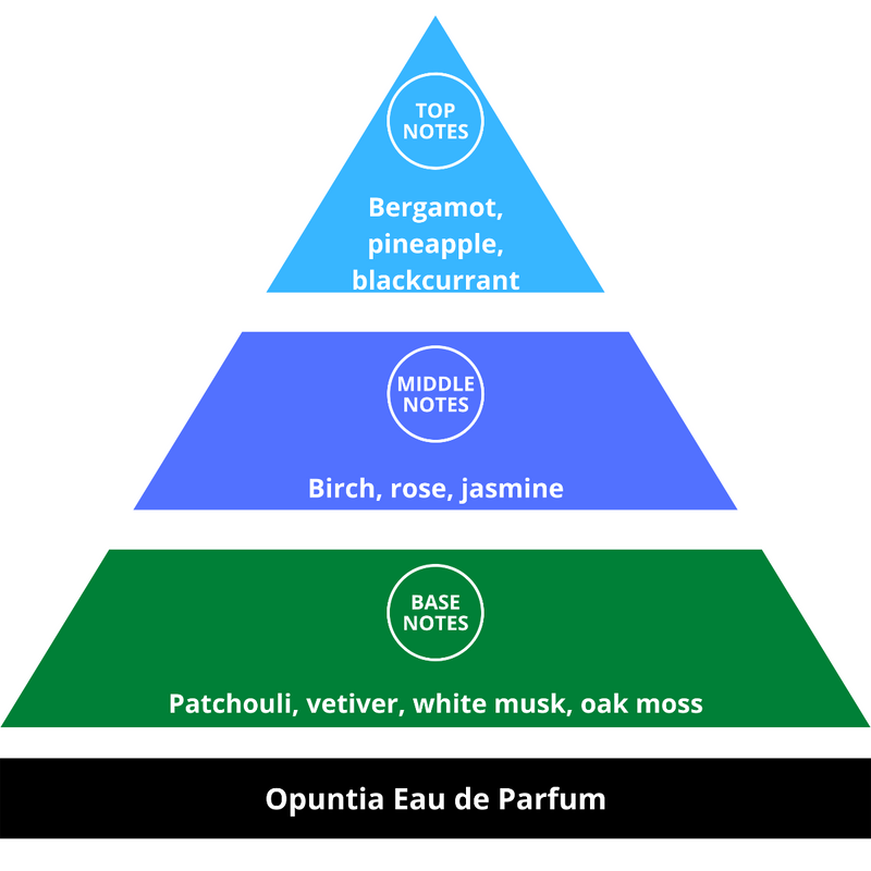 Opuntia Fragrance Pyramid